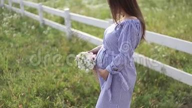 迷人的孕妇摆出相机和微笑。 女人站在大自然中，在农场附近散步。 <strong>慢慢慢慢</strong>